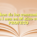 Derechos de los consumidores en línea en México con PROFECO