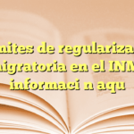 Trámites de regularización migratoria en el INM: información aquí