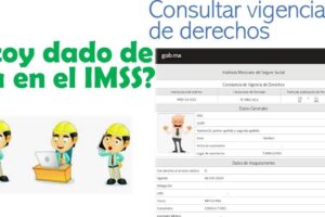 Cómo saber si estoy dado de alta en el IMSS