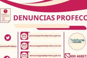 Denuncia de publicidad engañosa en redes a PROFECO: pasos y procedimiento