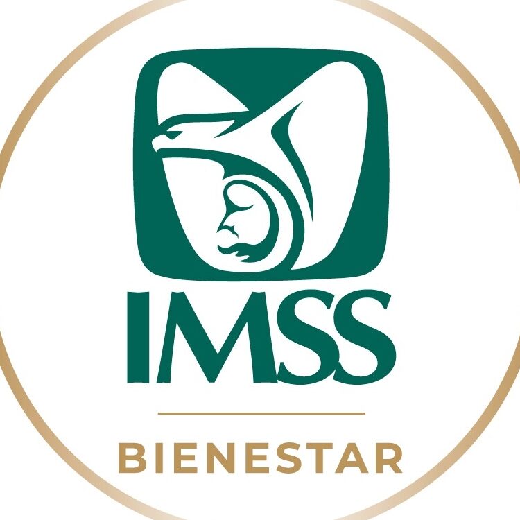 imss bienestar 2024 todo lo que debes saber