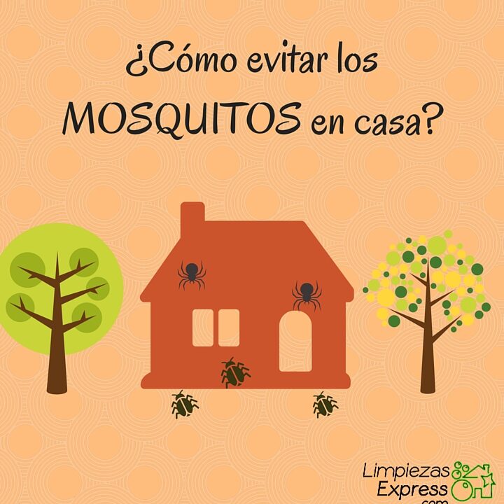 mosquitos en la casa 10 consejos para combatirlos