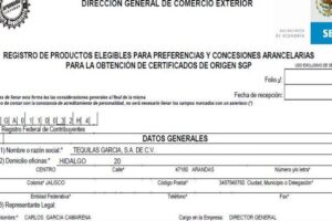 Obtén el certificado de origen en México para exportar: ¿Cómo y dónde solicitarlo?