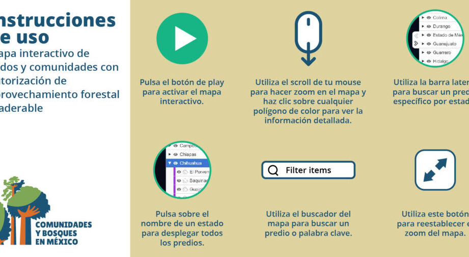 permiso para explotar recursos forestales requisitos y pasos a seguir