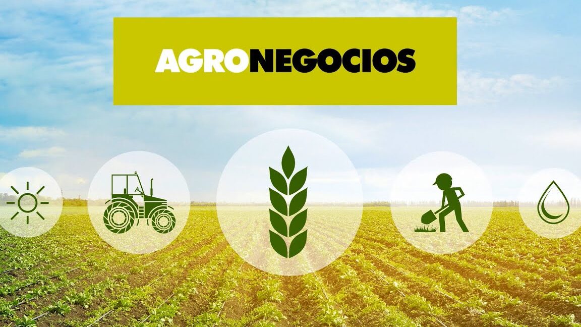 programas de credito agropecuario de la semagro informacion aqui