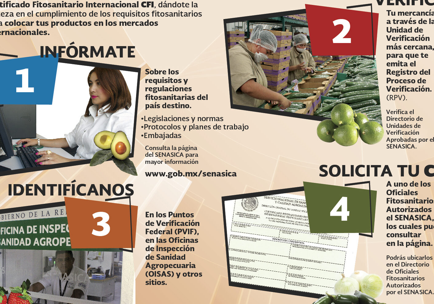 programas de inspeccion y certificacion de agroquimicos en senasica