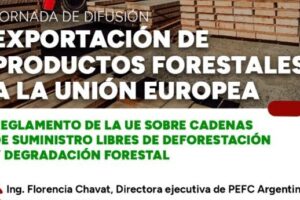 Requisitos para exportar productos forestales