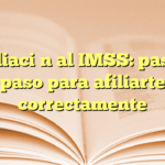Afiliación al IMSS: paso a paso para afiliarte correctamente