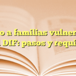 Apoyo a familias vulnerables en el DIF: pasos y requisitos