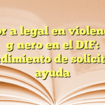 Asesoría legal en violencia de género en el DIF: Procedimiento de solicitud de ayuda