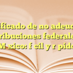 Certificado de no adeudo de contribuciones federales en México: fácil y rápido