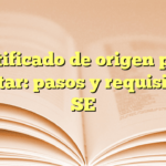 Certificado de origen para exportar: pasos y requisitos en SE