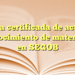 Copia certificada de acta de reconocimiento de maternidad en SEGOB