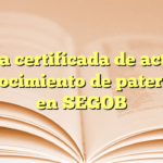 Copia certificada de acta de reconocimiento de paternidad en SEGOB