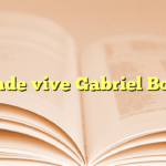 ¿Donde vive Gabriel Boric?