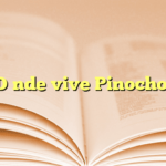 ¿Dónde vive Pinocho?
