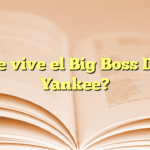 ¿Dónde vive el Big Boss Daddy Yankee?