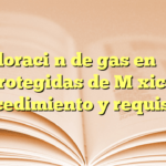 Exploración de gas en áreas protegidas de México: procedimiento y requisitos