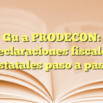 Guía PRODECON: Declaraciones fiscales estatales paso a paso