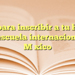 Guía para inscribir a tu hijo en una escuela internacional en México