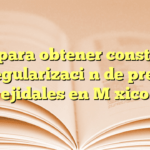 Guía para obtener constancia de regularización de predios ejidales en México