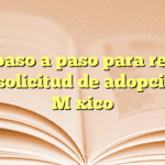 Guía paso a paso para realizar una solicitud de adopción en México