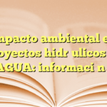 Impacto ambiental en proyectos hidráulicos de CONAGUA: información clave