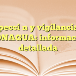 Inspección y vigilancia en CONAGUA: información detallada
