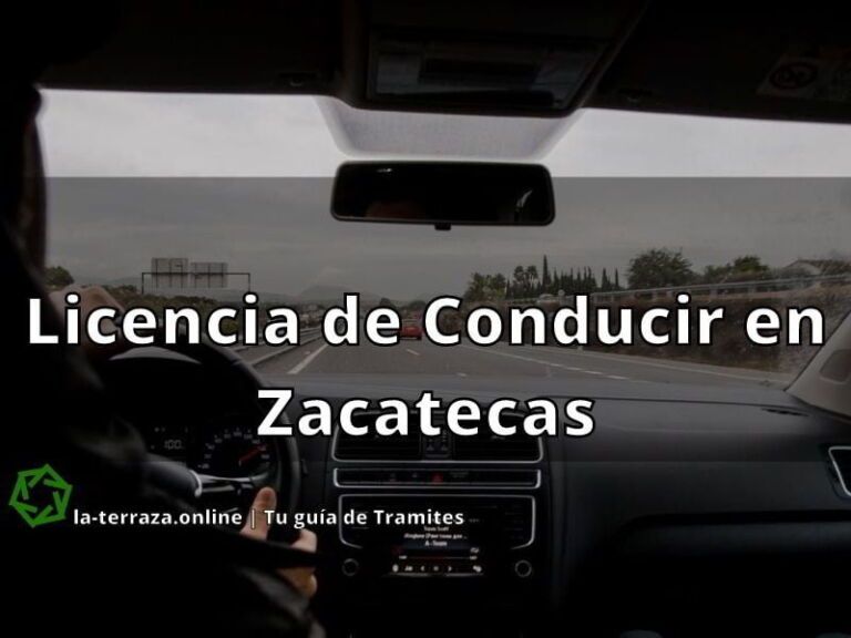 Licencia de Conducir en Zacatecas