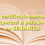 Obtén certificado zoosanitario de exportación para bovinos en SENASICA