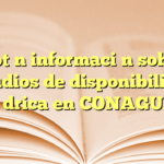 Obtén información sobre estudios de disponibilidad hídrica en CONAGUA