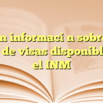Obtén información sobre los tipos de visas disponibles en el INM