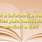 Obtén información sobre trámites para constituir una asociación civil
