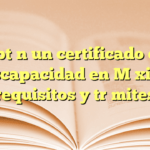 Obtén un certificado de discapacidad en México: requisitos y trámites
