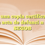 Obtén una copia certificada de un acta de defunción en SEGOB