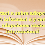 Orientación sobre adopción en el DIF: información y consejos para adopciones nacional e internacional