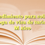 Procedimiento para solicitar prórroga de visa de turista en México