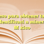 Proceso para obtener tarjeta de identificación minera en México