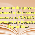 Programas de apoyo a la formación de recursos humanos en CONACYT: Información y beneficios disponibles