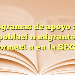 Programas de apoyo a la población migrante: Información en la SEGOB