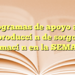 Programas de apoyo a la producción de sorgo: Información en la SEMAGRO