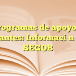 Programas de apoyo a migrantes: Información en la SEGOB