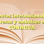 Proyectos internacionales de presas y embalses en CONAGUA