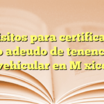 Requisitos para certificado de no adeudo de tenencia vehicular en México