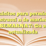 Requisitos para permiso de construcción de marina en SEMARNAT: Guía actualizada