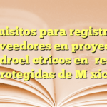 Requisitos para registro de proveedores en proyectos hidroeléctricos en áreas protegidas de México