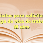 Requisitos para solicitar una prórroga de visa de trabajo en México