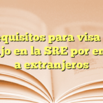 Requisitos para visa de trabajo en la SRE por empleo a extranjeros
