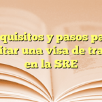 Requisitos y pasos para solicitar una visa de trabajo en la SRE