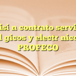 Revisión contrato servicios tecnológicos y electrónicos con PROFECO